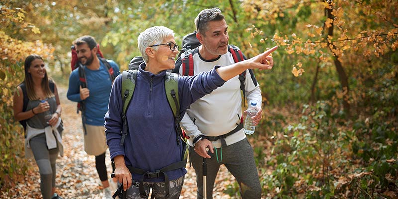 Gruppe von Menschen beim Waldbaden