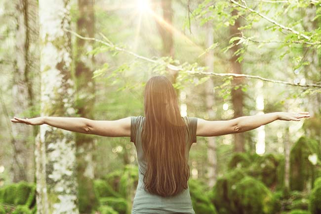 Achtsamkeit im Wald  – Auszeit in der Natur, Zeit für sich